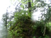 5.7.06 Wauna Point 034 